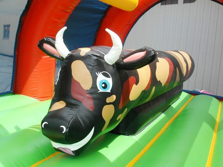 Location chateau gonflable saone et loire